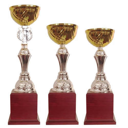 Copa BLAS 30