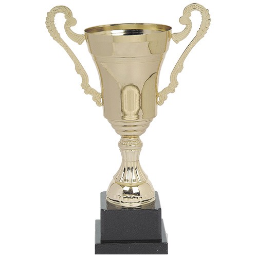 Copa CY 2025