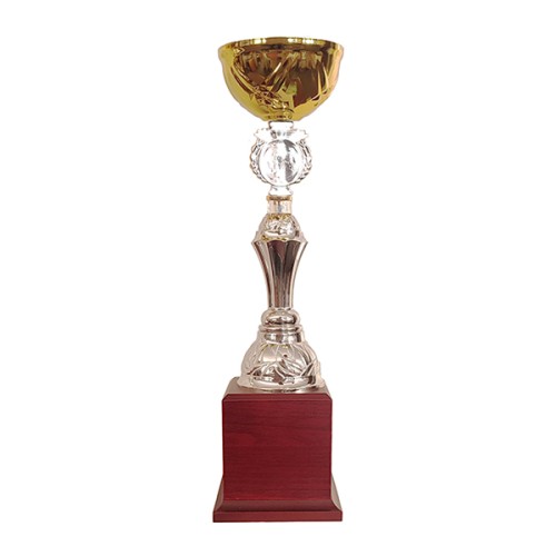 Copa BLAS 30