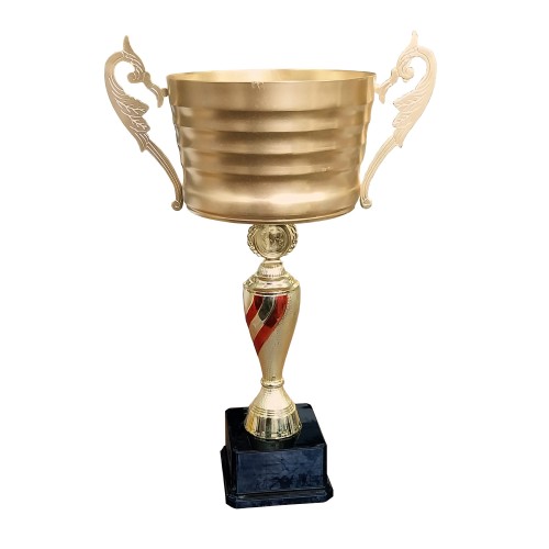Copa IDE