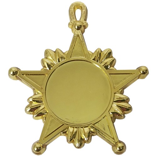 Medalla Condecoración de Fierro Estrella con Hojas CON03