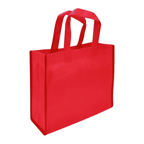 Bolsa TNT Reutilizable G01