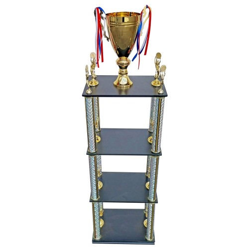 Copa Torre DGO10