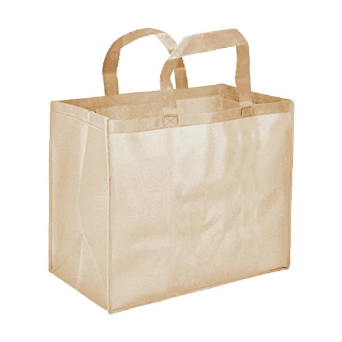 Bolsa TNT Reutilizable G05