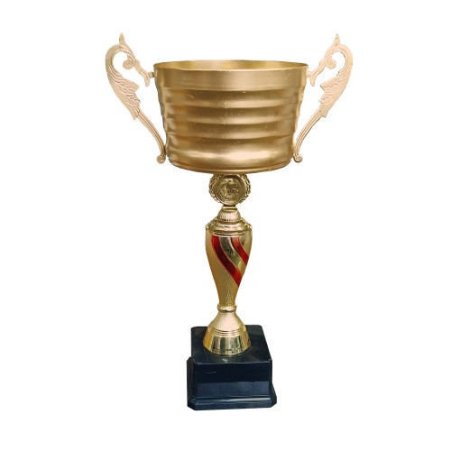 Copa IDE